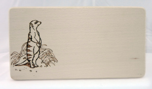 Erdmännchen 2